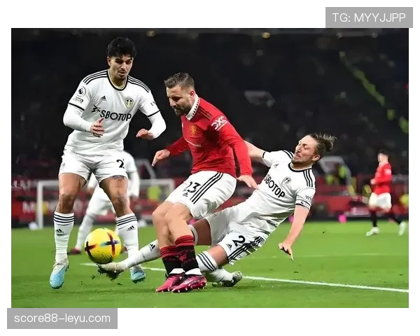 英超球员专访：近期表现稳健，状态持续提升